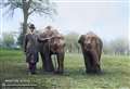 Once bustling zoo brought to life with colourised photos